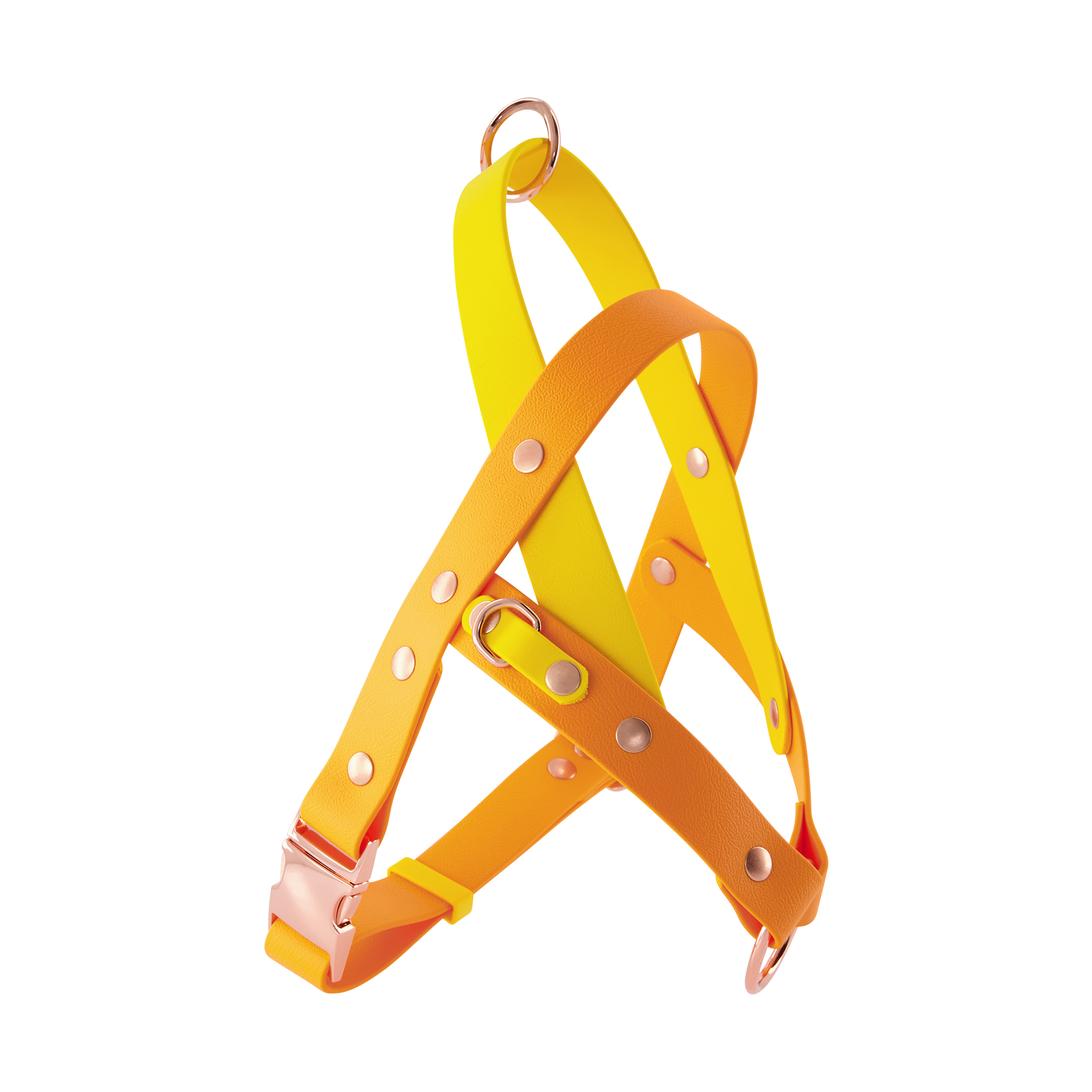 Dog Quick Release Harness Led & Collared NZ